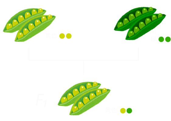 :scale 40%