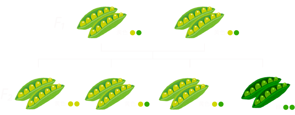 :scale 70%