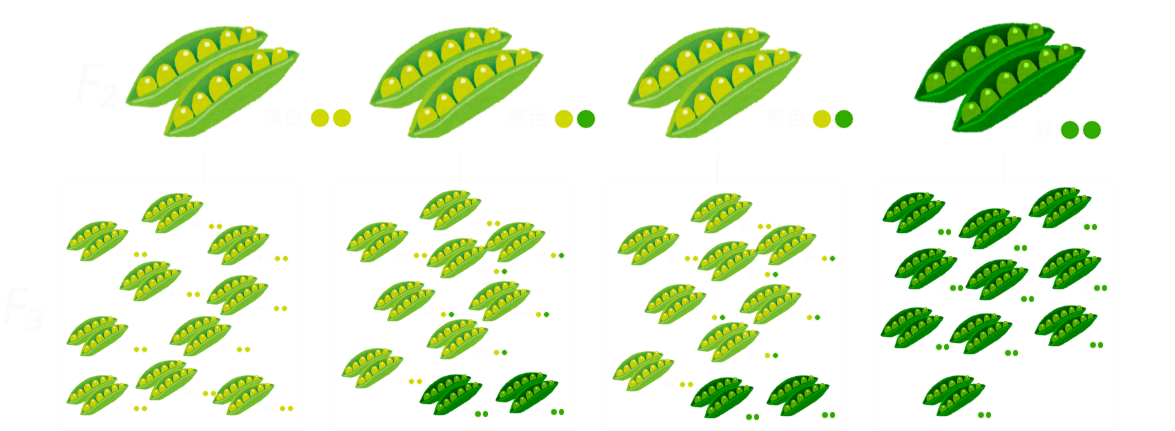 :scale 70%