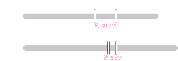 :scale 50%