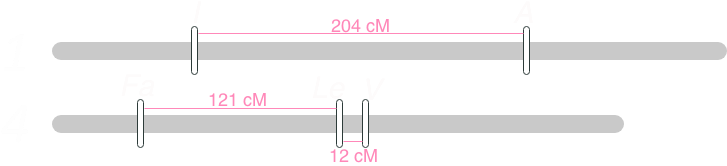 :scale 70%